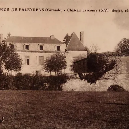 La Chambre Bleue Du Chateau De Lescours A Saint-Emilion Saint-Sulpice-de-Faleyrens