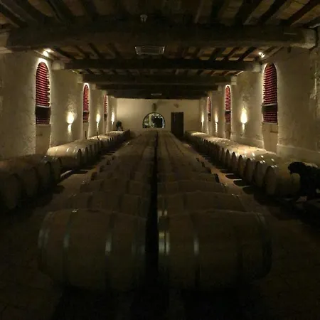 La Chambre Bleue Du Chateau De Lescours A Saint-Emilion Saint-Sulpice-de-Faleyrens